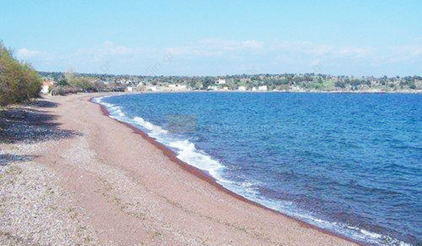 Παραλία - Beach